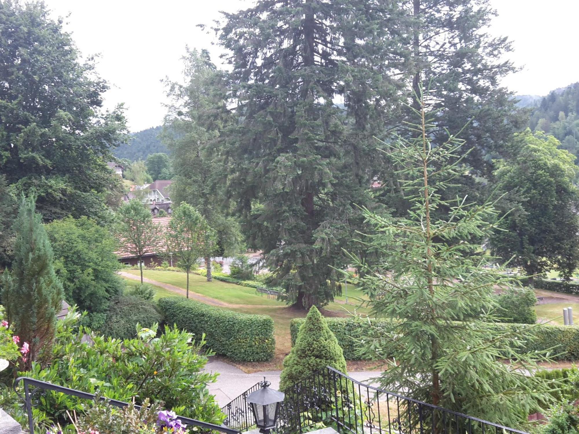 Villa Haus Kurparkblick à Todtmoos Extérieur photo
